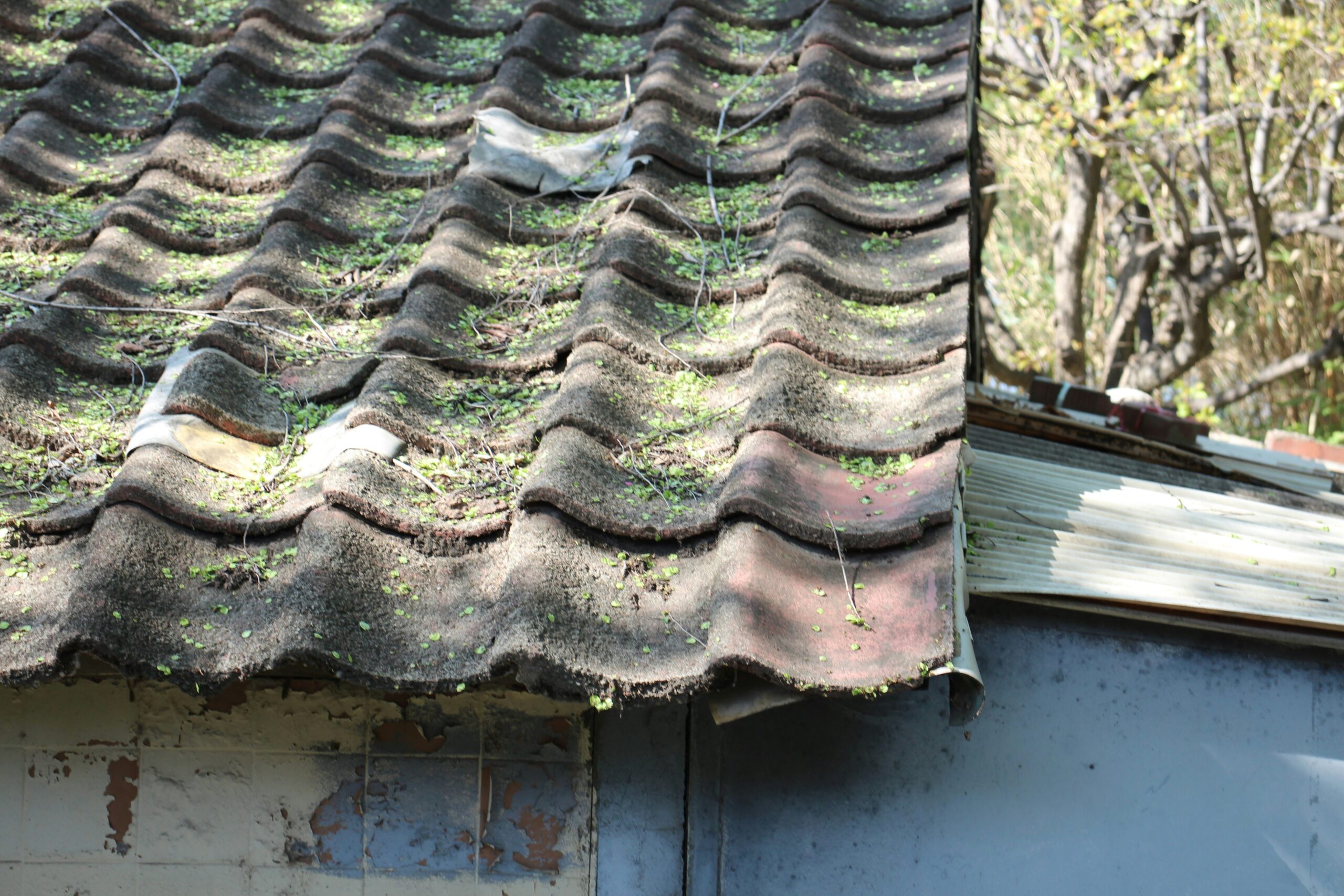 old shingles